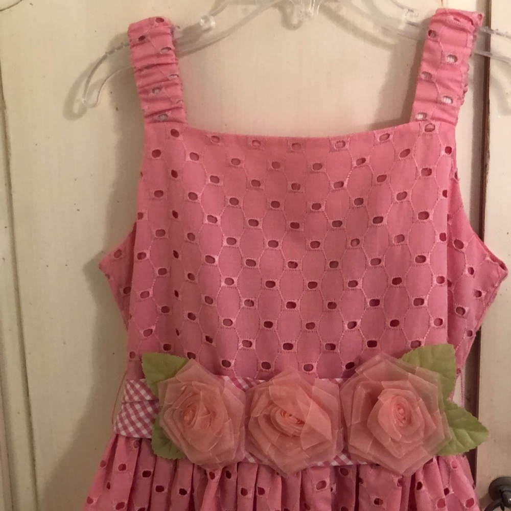 Sweet Heart Rose Pink Eyelet Dress Size 7 - Picture 4 of 8